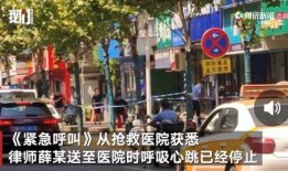 哈尔滨爆料双城事件视频,揭秘背后真相与影响